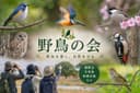 野鳥の会🕊️🔭